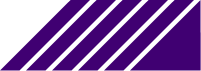 Decorative Assets